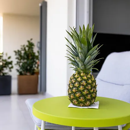 Sunshine House With Free Parking 公寓 马卡尔斯卡